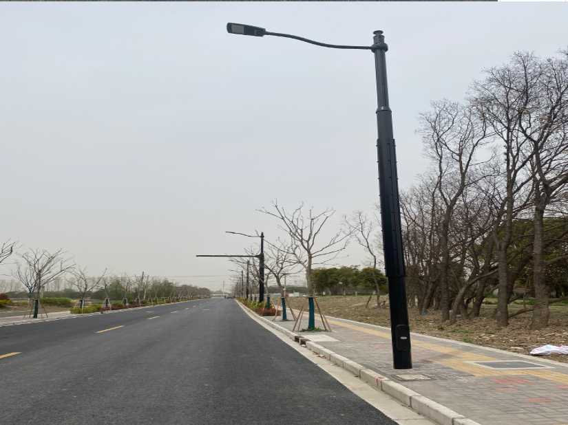 祁阳县上海综合杆 太阳能路灯工程